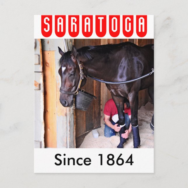 Alkolit- Horse Haven Barns vid Saratoga Vykort (Framsida)