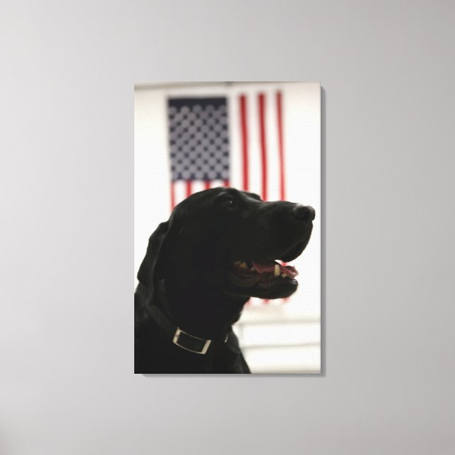 All-American Black Labrador Retriever Canvastryck (Framsida)