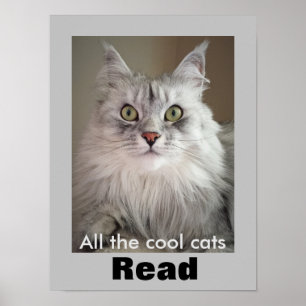 All Coola Cats Read (Literacy Poster) Poster