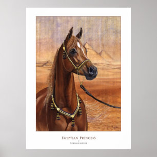 ALL den egyptiska för Princess Arab hästaffischen Poster