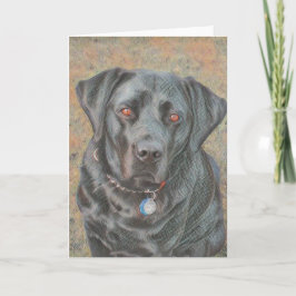 All den svart Labrador hunden - ämna Kort