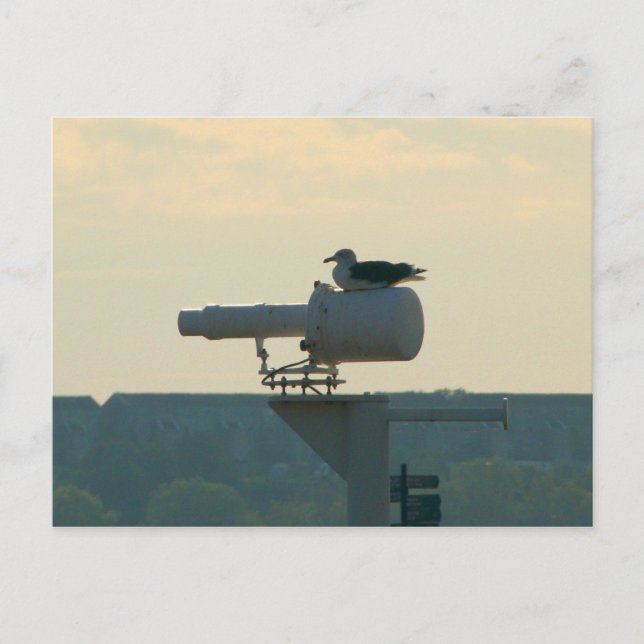 All din bas tillhör oss vykort (Framsida)