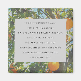 All disciplinnämnd magnet