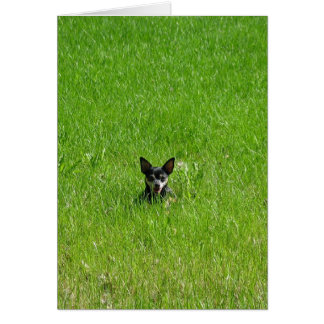 All ensam hälsningskort