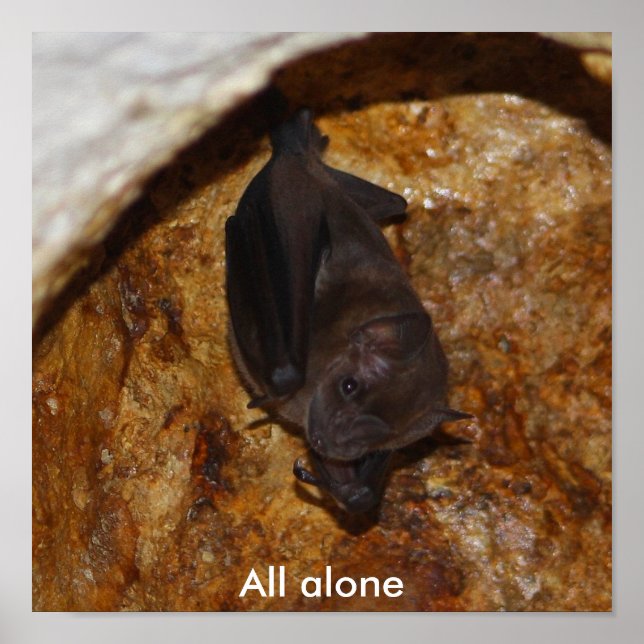 All ensam poster (Framsidan)