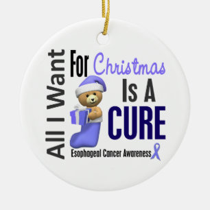All Esophageal cancer önskar jag julprydnadar Julgransprydnad Keramik