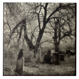 All Hallow's Kväll Kråka Kakelplatta