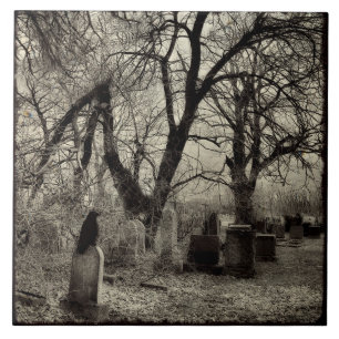 All Hallow's Kväll Kråka Kakelplatta