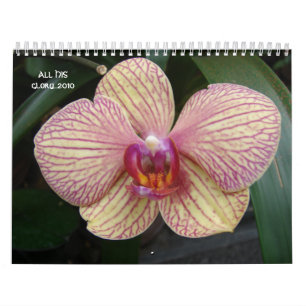All HANS härlighet… 2010 Kalender