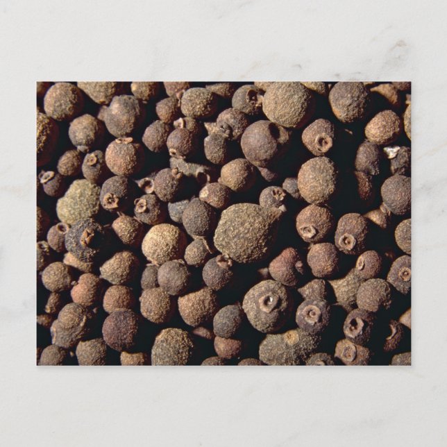 All krydda vykort (Framsida)