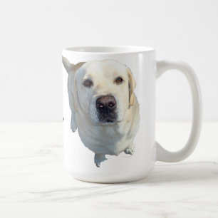 All mat måste gå till (den gula) labbkaffemug.en kaffemugg