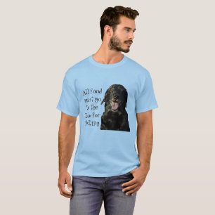 All mat måste gå till labbet för att testa t shirt