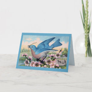All Ocassion Bluebird Tackkort