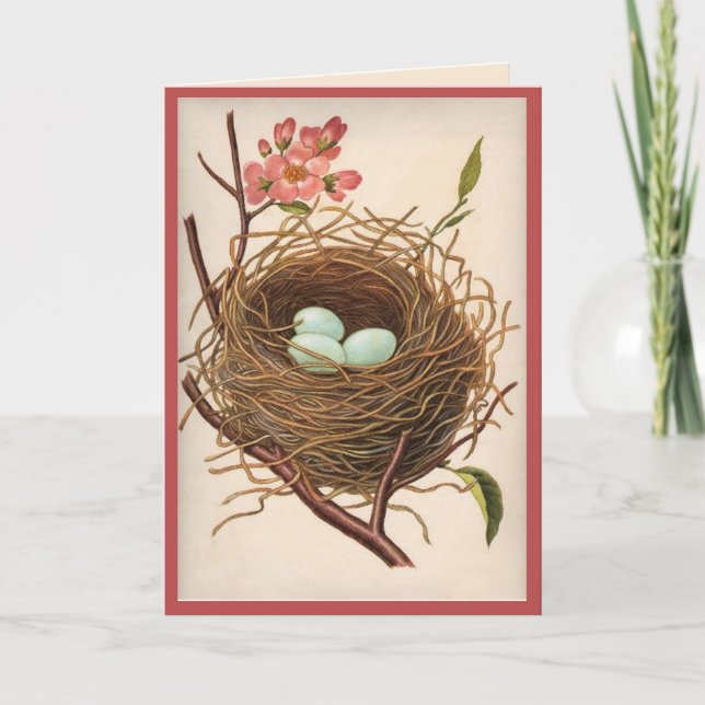 All Ocassion Fågelbo Tack Kort (Framsida)