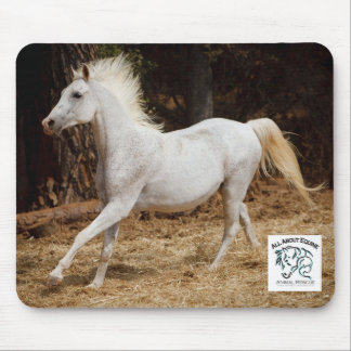 All om Equine Mousepad som presenterar Ziggy Musmatta