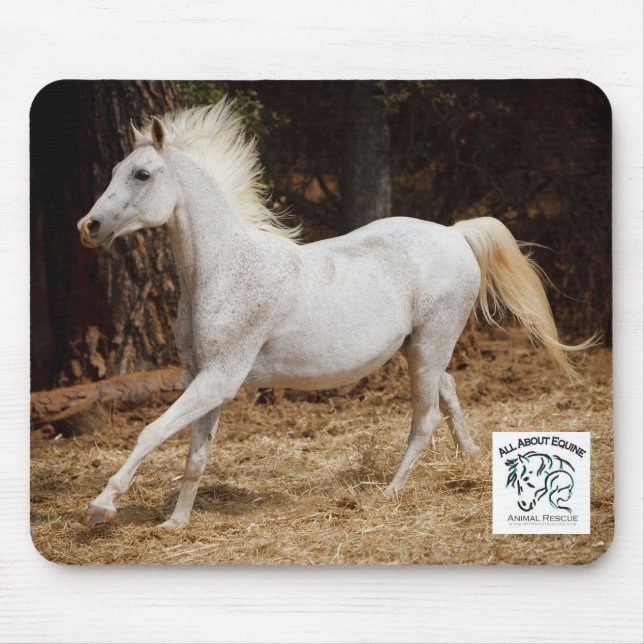 All om Equine Mousepad som presenterar Ziggy Musmatta (Framsidan)