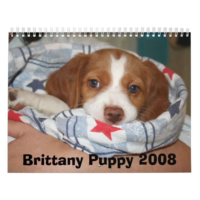 (ALL ROSTIG) Brittany valpkalender 2008, Kalender (Omslag)