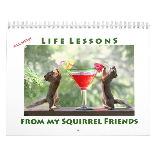 All Star Squirrel Calendar - New Life Lessons Kalender (Omslag)