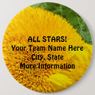 ALL STARS! Stora Knappar Sportlag Mästare
