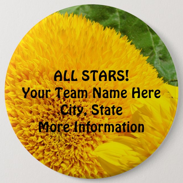 ALL STARS! Stora Knappar Sportlag Mästare (Framsida)