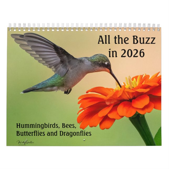 All the Buzz 2026 Calendar Kalender (Omslag)