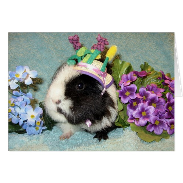 All uppklädd hälsningskort (Framsidan Horizontal)