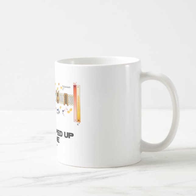 All uppumpad insida (Natrium-Potassium pumpar), Kaffemugg (Höger)