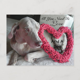 All You Need Is Love - och En Hund (Raina) Vykort