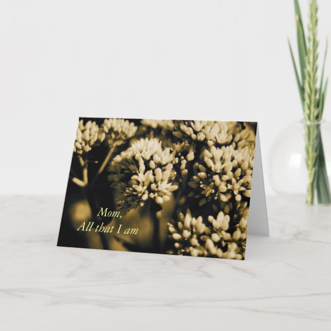 Alla det kort för I-förmiddagmors dag (Framsida)