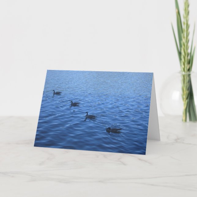 Alla dina ankor i en ro kort (Framsida)