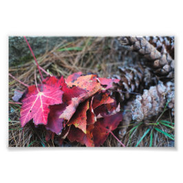 Alla faller fototryck