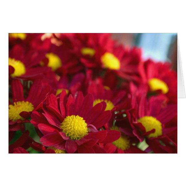 Alla har en morsa hälsningskort (Framsidan Horizontal)