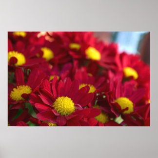 Alla har en Morsa Poster