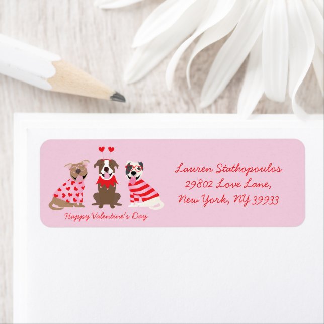 Alla hjärtans dag American Pit Bull Terriers Returadress Etikett (Insitu)