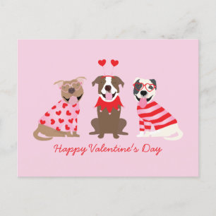 Alla hjärtans dag American Pit Bull Terriers Vykort