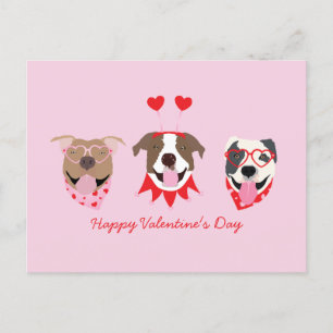 Alla hjärtans dag American Pit Bull Terriers Vykort