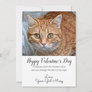 Alla hjärtans dag Anpassningsbar Cat Photo Julkort