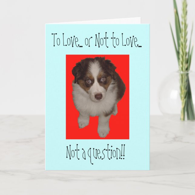 Alla hjärtans dag Australian shepherd hund Helgkort (Framsida)
