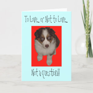 Alla hjärtans dag Australian shepherd hund Helgkort