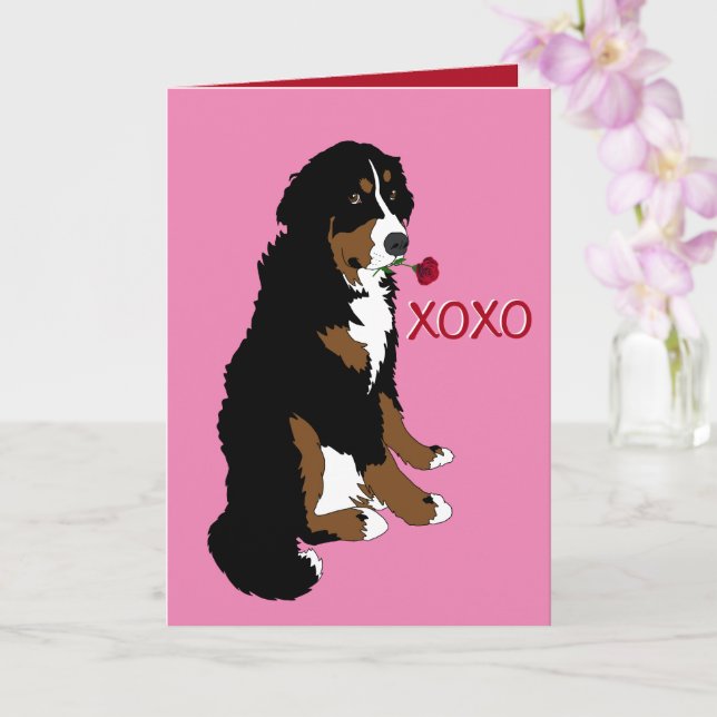 Alla hjärtans dag Berner Sennenhund  Kort (Orkide)