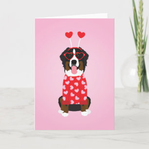Alla hjärtans dag Bernese Mountain Hund Helgkort