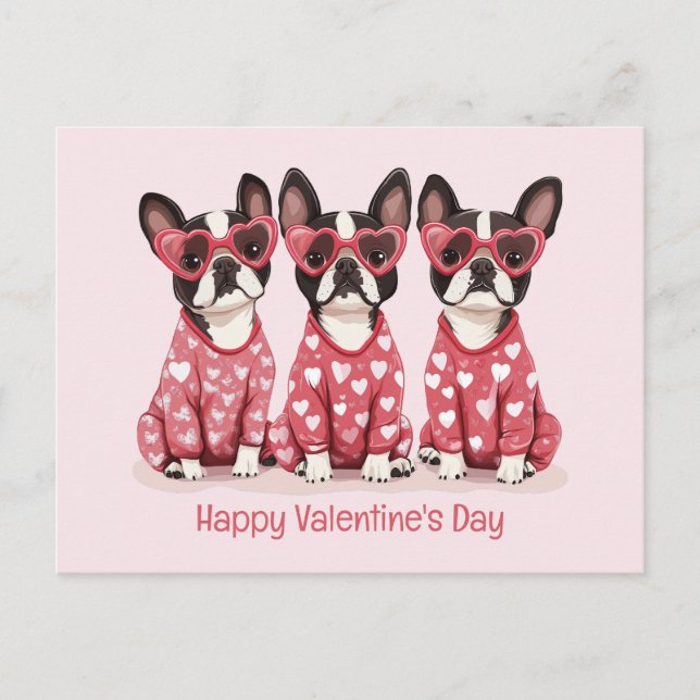 Alla hjärtans dag Boston Terrier Hundar Helg Vykort (Framsida)