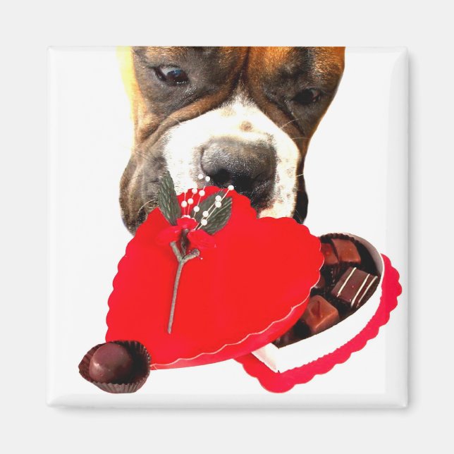 Alla hjärtans dag Boxer med chokladmagnet Magnet (Framsidan)