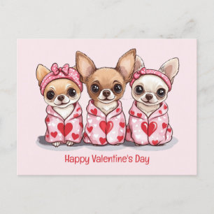 Alla hjärtans dag Chihuahua Hundar Vykort