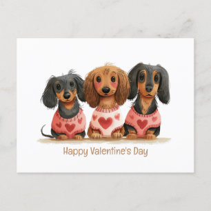 Alla hjärtans dag Dachshund Hundar Vykort
