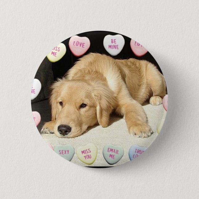 Alla hjärtans dag Golden Retriever Knapp (Framsida)