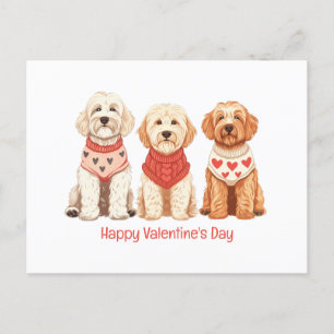 Alla hjärtans dag Goldendoodle Hundar Helg Vykort