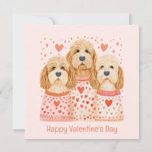 Alla hjärtans dag Goldendoodle Hundar Julkort