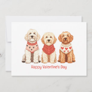 Alla hjärtans dag Goldendoodle Hundar Julkort