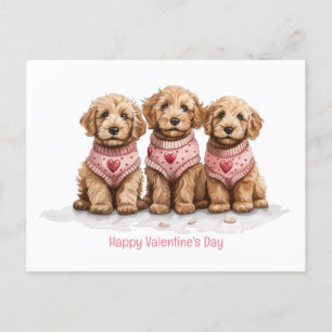 Alla hjärtans dag Goldendoodle Hundar Vykort
